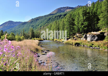 The Valley And The River Clarée, French Alps, France Stock Photo