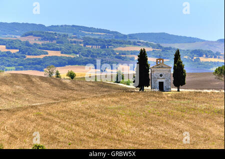Old Small Chapel Between Cypresses On Tuscan Fields, Tuscany, Italy Stock Photo