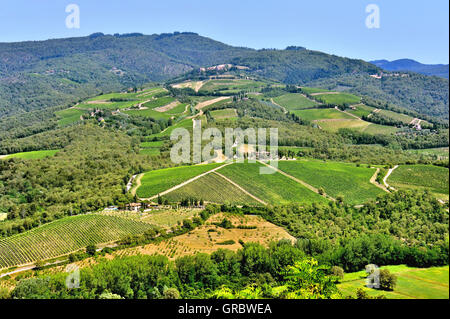 Landscape Of Tuscan Vineyards Near Radda In Chianti, Tuscany, Italy Stock Photo