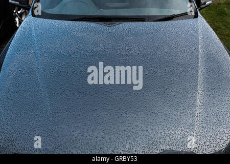beading on car bonnet rain grey weather protection Stock Photo