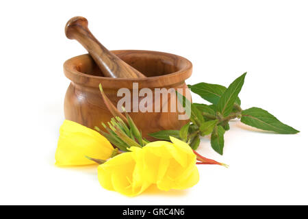 Evening Primroses Near Wooden Mortar And Pestle On White Background Stock Photo