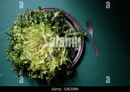 Escarole Stock Photo