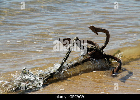Anchor On The Beach Stock Photo