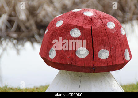 Wood Mushroom Stock Photo