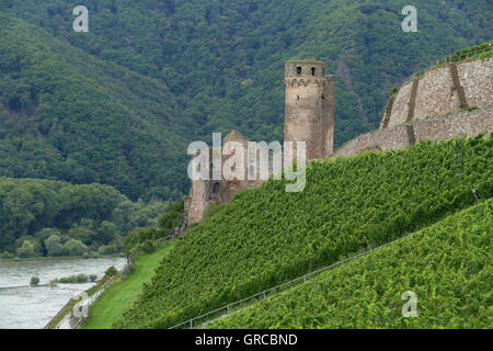 Castle Ruin Ehrenfels Near Rudesheim, River Rhine, Hesse, Germany, Europe Stock Photo