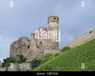 Castle Ruin Ehrenfels Near Rudesheim, Rheingau, Hesse, Germany Stock Photo