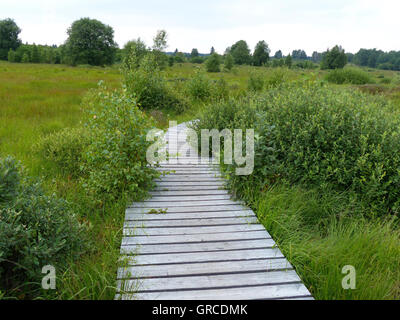 Safe Path Through The Moor, High Fen In The Border Area Germany Belgium Stock Photo