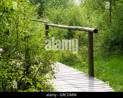 Safe Path Through The Moor, High Fen In The Border Area Germany Belgium Stock Photo