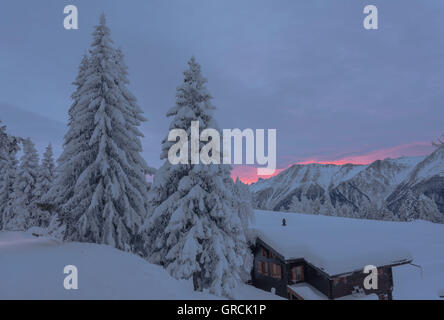 Landscape And Path, Deeply Snow Covered, With Fir Trees And Chalet, At Dawn. In The Background Mountains, Grey Sky With A Pink Glow Stock Photo