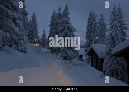 Landscape, Deeply Snow Covered, With Fir Trees And Chalet, At Dawn Stock Photo