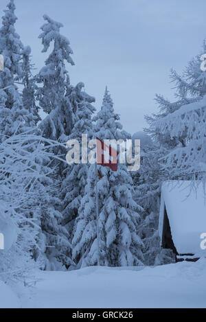 Dawn. In Front Of Deeply Snowcoverd Fir Trees A Waving Swiss Banner. At The Right Part Of A Roof Of A Swiss House. Stock Photo