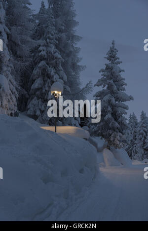 Dawn, Deeply Snowed In Forestwalk With Shining Streetlights. Streetlamps Icicled And Covered With Large Snowcaps Stock Photo