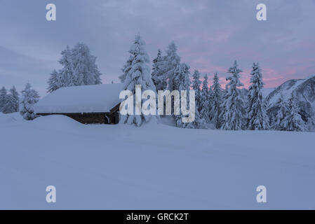 Landscape, Deeply Snow Covered, With Fir Trees And Chalet, At Dawn Stock Photo