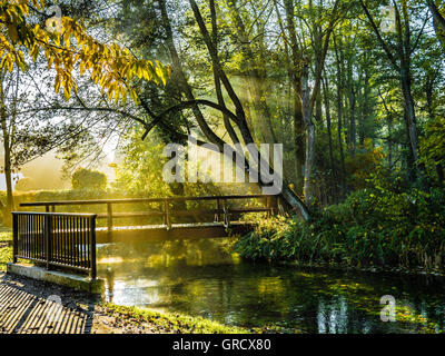 Watercourse In The Morning In Fog In Sunshine Stock Photo