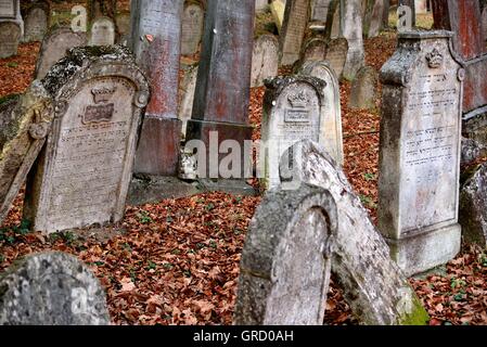 Jewish Tombstones On The Historic Jewish Cemetery In Forest In Kobersdorf Stock Photo