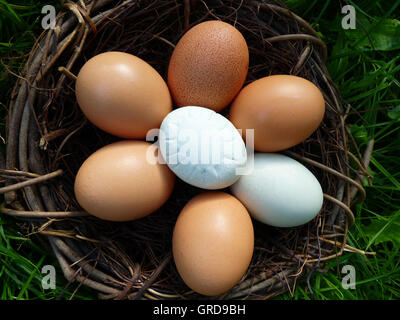 Easter Nest With Eggs, One Of Them With Special Structure Like A Flower Stock Photo