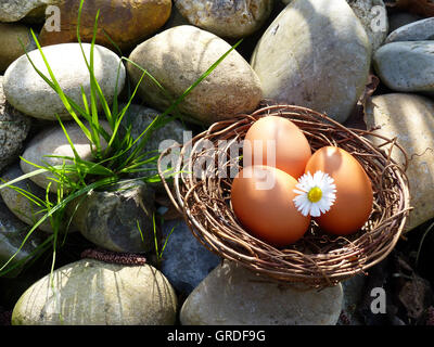 Brown Eggs In A Nest, Easter Stock Photo