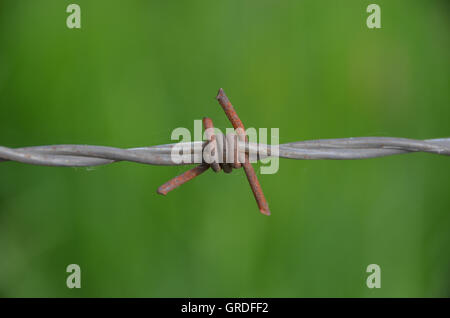 Barbed Wire Fence In Front Of Green Background Stock Photo