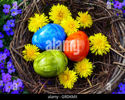 Easter Nest With Three Coloured Easter Eggs In Blooming Violet Ornamental Plants Stock Photo