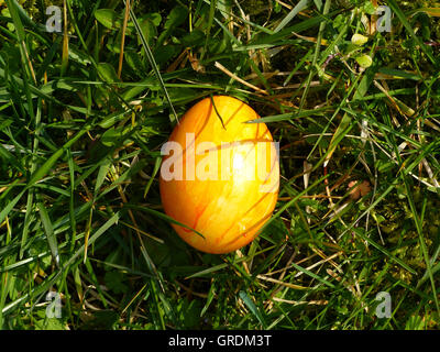 Yellow Easter Egg Lying In The Grass Stock Photo