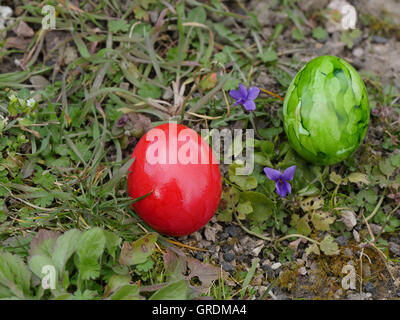 Two Coloured Easter Eggs Next To Sweet Violets On A Meadow Stock Photo