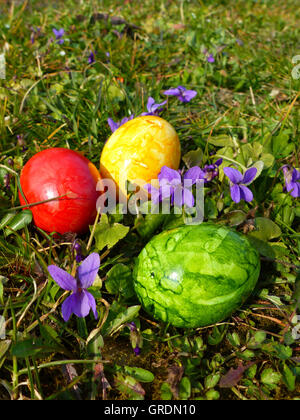 Easter, Colored Easter Eggs In The Grass Next To Sweet Violets Stock Photo
