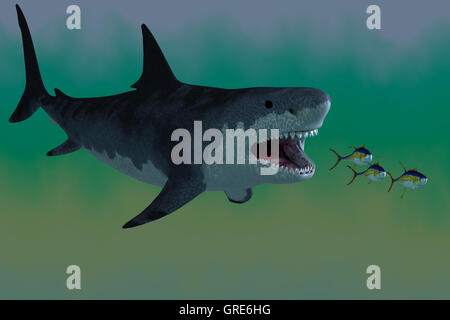 Megalodon Shark Attack Stock Photo