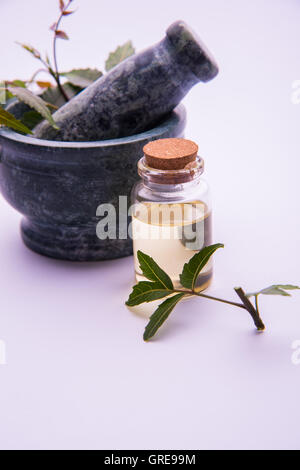 Ayurvedic Herbs Neem with Oil in bottle with mortar Stock Photo