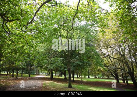 London, UK. 7th Sep, 2016 - People enjoy a hot and humid day in the London as temperatures to rise and September is predicted to be the hottest month in 100 years Credit:  Dinendra Haria/Alamy Live News Stock Photo