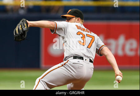 St. Petersburg, Florida, USA. 7th Sep, 2016. WILL VRAGOVIC | Times.Baltimore Orioles relief pitcher Dylan Bundy (37) throwing in the first inning of the game between the Baltimore Orioles and the Tampa Bay Rays in Tropicana Field in St. Petersburg, Fla. on Wednesday, Sept. 7, 2016. © Will Vragovic/Tampa Bay Times/ZUMA Wire/Alamy Live News Stock Photo