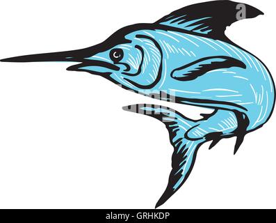 Blue Marlin Fish Jumping Drawing Stock Vector