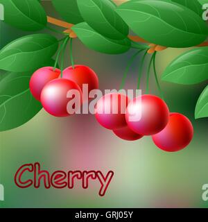Red, juicy, sweet cherries on a branch for your design. Vector Stock Vector