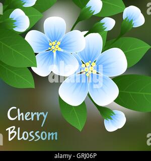 Flowering cherry. Blue flowers on a branch with green leaves and place for text. Vector Stock Vector