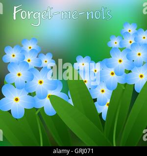 Flowering. Blue flowers on a branch with green leaves and place for text. Vector Stock Vector