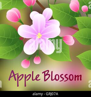 Blossoming apple tree branch with pink flowers. Vector Stock Vector