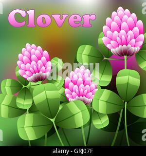 Blooming pink flowers on green field, clover meadow. Vector Stock Vector