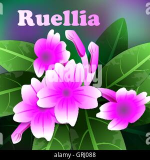 Beautiful spring flowers purple ruellia. Cards or your design with space for text. Vector Stock Vector