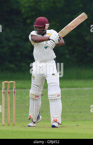 J Francis in batting action for Gidea Park during Gidea Park and Romford CC vs Belhus CC, Shepherd Neame Essex League Cricket at Gidea Park Sports Ground on 4th June 2016 Stock Photo