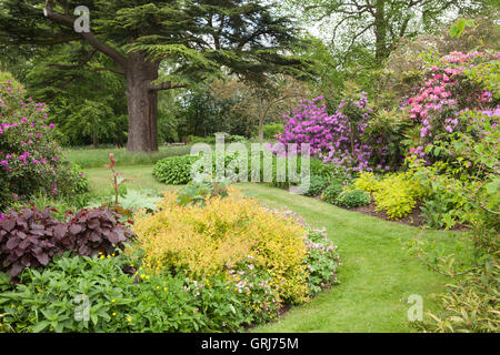 Doddington Hall and Gardens, Lincolnshire, UK. Irises in the West Garden during Iris Week. Spring, May 2016. Stock Photo