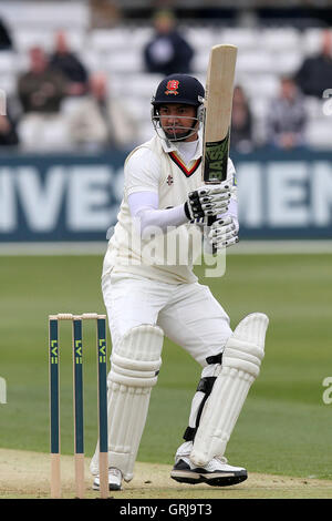 Alviro Petersen in batting action for Essex - Essex CCC vs Gloucestershire CCC - LV County Championship Division Two Cricket at the Ford County Ground, Chelmsford, Essex - 05/04/12 Stock Photo