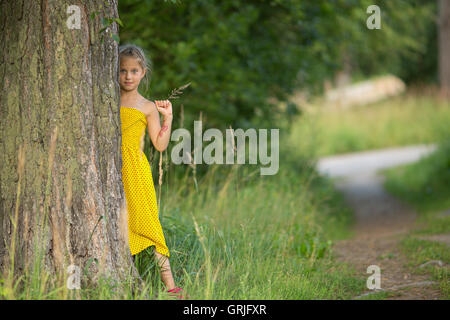 Little girl peeking from behind the pine trees in the Park. Stock Photo