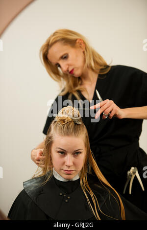 Hair stylist at work - hairdresser cutting hair to the customer before doing hairstyle in a professional salon Stock Photo