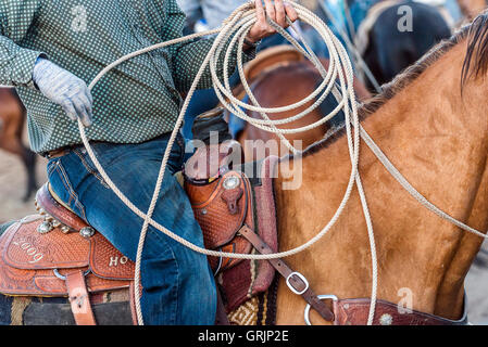 Close up image of a cowboy preparing his lasso whilst on his horse at the rodeo Stock Photo