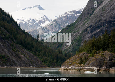 Landscape of Scenery Cove, Thomas Bay, Petersburg, Southeast Alaska. Thomas Bay is located in southeast Alaska. It lies northeas Stock Photo