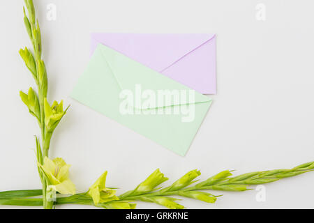 Yellow gladiolus flowers and two envelopes on white background from above, top view, flat lay, copy space for text Stock Photo