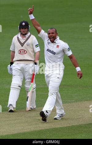 Joy for Tymal Mills of Essex as he claims the wicket of Dominic Sibley - Surrey CCC vs Essex CCC - LV County Championship Division Two Cricket at the Kia Oval, Kennington, London - 22/04/14 Stock Photo