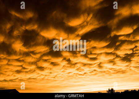 Formation of rare mammatus clouds after a thunder storm Stock Photo