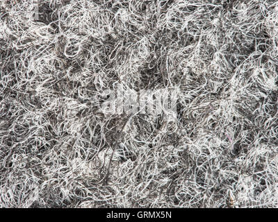felt fabric texture background Stock Photo