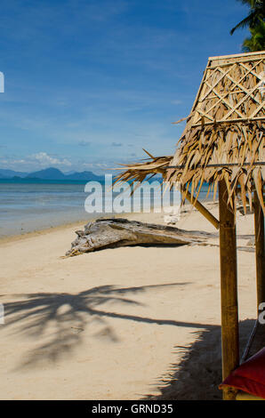 Driftwood on Coconut Beach in the south of the paradise island of Koh Samui, Thailand Stock Photo