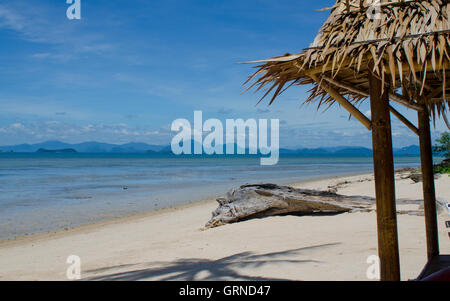 Driftwood on Coconut Beach in the south of the paradise island of Koh Samui, Thailand Stock Photo